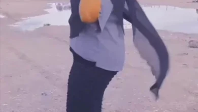 316125840 1334239580648466 9012212604499039468 n