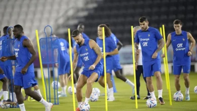 95719 61 1 750x430 1