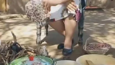 IMG 20221115 WA0001 1