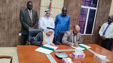 IMG 20221117 WA0029 1024x1024 1