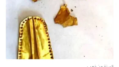 Screenshot ٢٠٢٢١١٢٩ ١٠٠١٢٩ Chrome 780x470 1