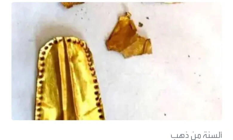 Screenshot ٢٠٢٢١١٢٩ ١٠٠١٢٩ Chrome 780x470 1 jpg