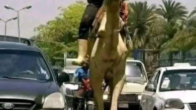 IMG 20221224 WA0014 780x470 1