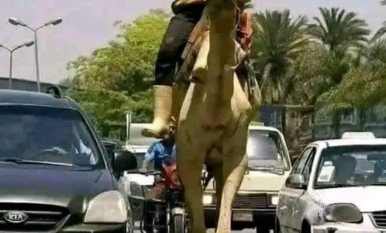 آلاف التعليقات على صورة مدهشة وطريقة فاعلة لتفادى (9) طويلة IMG 20221224 WA0014 780x470 1