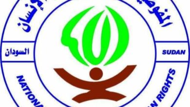 مفوضية حقوق الإنسان 618x470 1