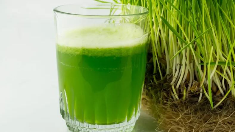 عصير البرسيم يثير الغضب في مصر عصير البرسيم الاخضر