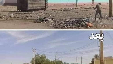 322590353 1207631076796674 5011790388919195455 n