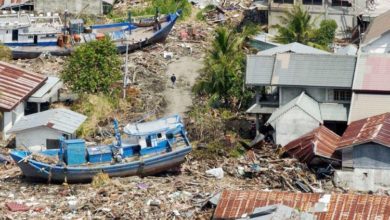 image1170x530cropped 1 750x430 1