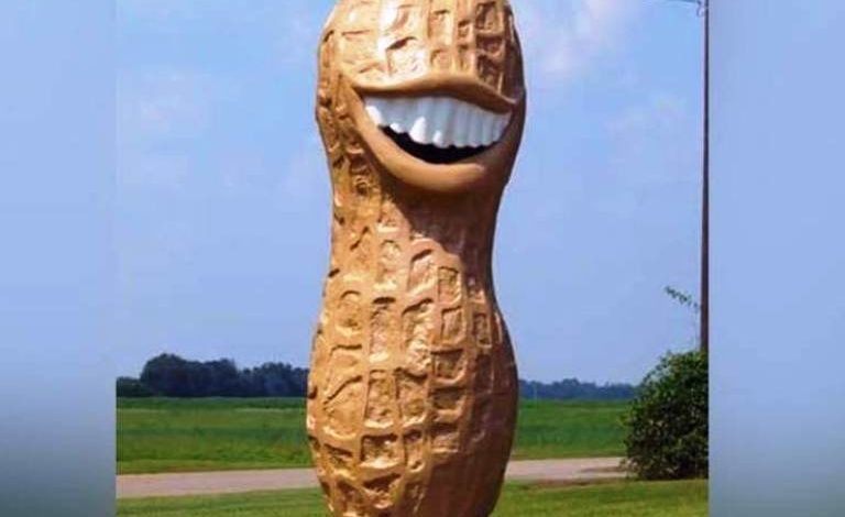 التمثال على شكل حبة فول سوداني مبتسمة