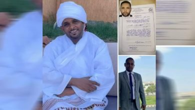 الطبيب المختفي عامر