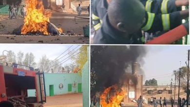 FB IMG 1683150046580