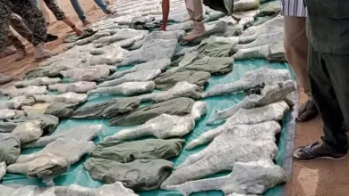 FB IMG 1686770485915