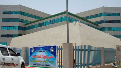 التعليم العالي