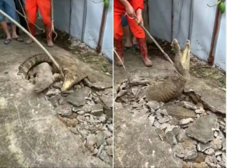 IMG ٢٠٢٣٠٨١٢ ١٧٣٦٤٠