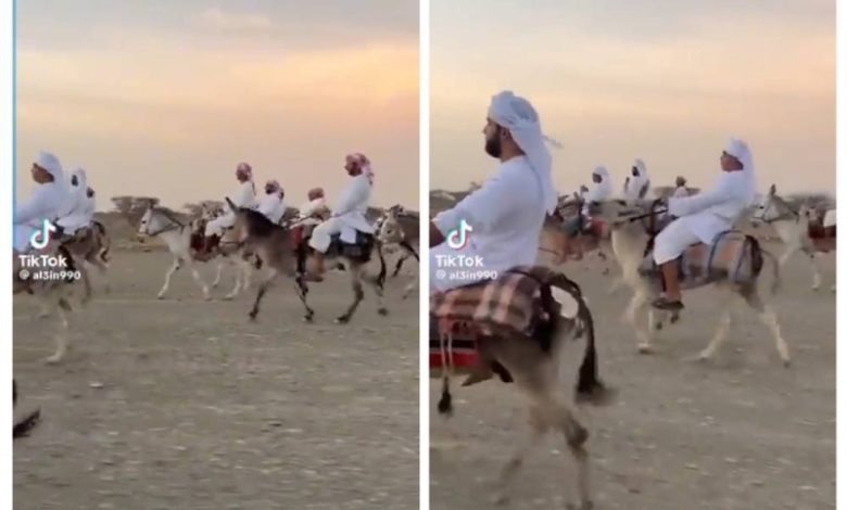شاهد: أول سباق للحمير في دولة خليجية يحصد تفاعلا تنزيل 34