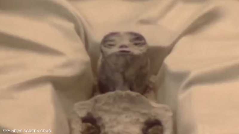 بالفيديو.. الكشف عن جثث لمخلوقات "غير بشرية" في المكسيك 1 1652804