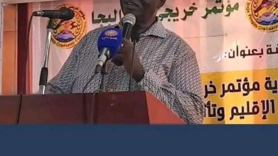 378326416 3505794302995696 232087379184552979 n