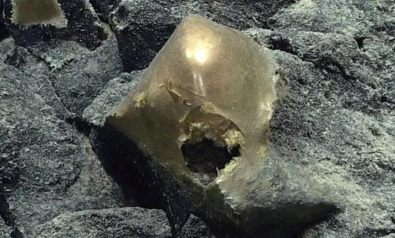 جسم ذهبي غامض في قاع المحيط image