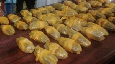 جمارك ولاية الجزيرة تضبط 46 كيلوغراماً من مخدر "الشاشمندي" FB IMG 1696793063514
