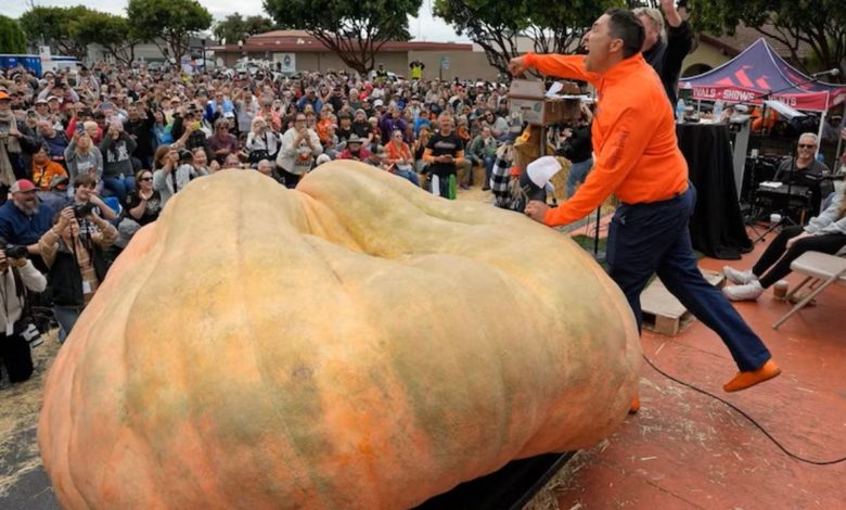 يقطينة عملاقة تزن أكثر من طن تحطم رقماً قياسياً عالمياً في الولايات المتحدة image 2