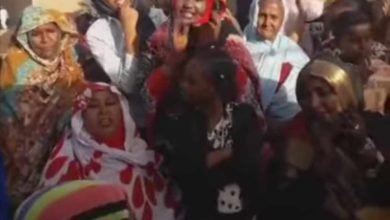 400008724 375048361624155 8892999219984936693 n