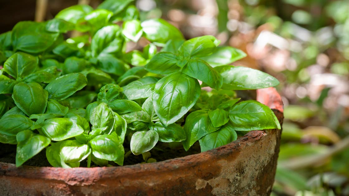 5ebab55f 1a3f 422c a632