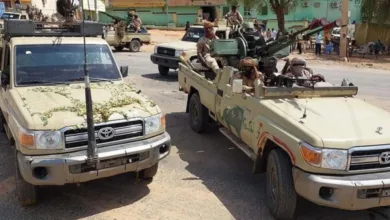 IMG 9111 1 780x470 1