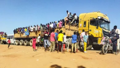 1 1678956 1140x599 1