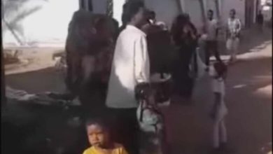 371494178 1064318364985579 7481382196469676590 n 780x470 1