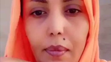 405578287 337600192351750 8215543529626044987 n 780x470 1