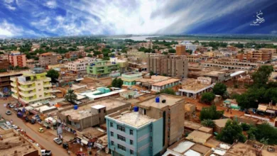 ود مدني الجزيرة 780x470 1