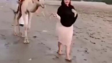 418732504 1465750937488339 1942421884226530865 n