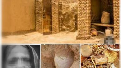 428603898 316397751442999 1923177044492471341 n 1024x1024 1