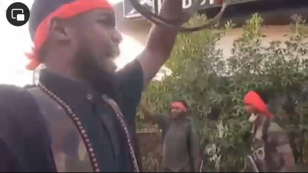 428634202 10233727483867884 5340601987908069415 n 1