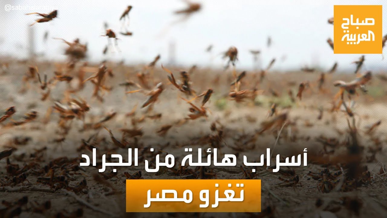 d982d8a7d8afd985d8a9