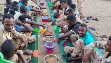 431712500 7872307452779327 1420653675142112503 n 1 780x470 1