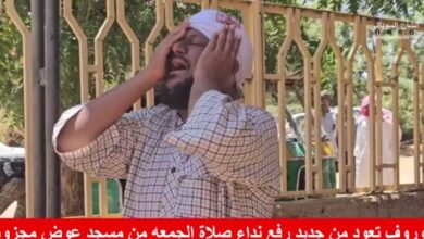 maxresdefault 17 780x470 1