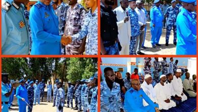 422395726 744097631230468 6973848176095523849 n