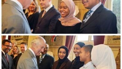 434558007 1476063059614419 2025287336333485074 n 526x470 1