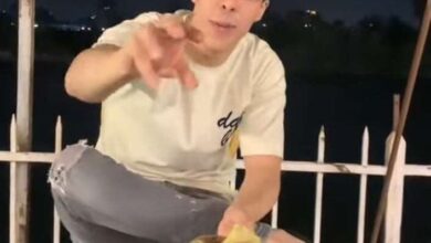 434724165 435399449175994 1555453025004183731 n 706x470 1