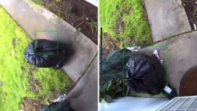 Viral Video Sacramento Thief Dress Up Garbage Bag 1712140112944 1712140120371 768x432 1