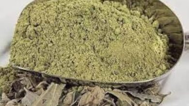 images 13 - بالفيديو.. استشاري جلدية يكشف حقيقة الترند المنتشر عن أثر "السدر" ومفعوله السحري للشعر والبشرة