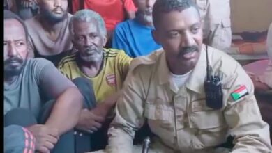 كيكل - حركة العدل و المساواة : أبو عاقة كيكل و مشروع الجزيرة ..عندما تتحدث العاهرة عن الطهر و العفاف