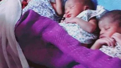 FB IMG 1724162801273