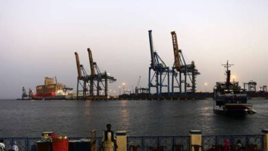 images 17 - تحقيق يكشف خفايا مثيرة في تصدير الماشية عبر ميناء سواكن: تنظيم أم احتكار مقنن؟