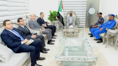 السفير المصري