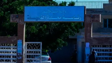 الجيش يستعيد أجزاء واسعة من محلية القطينة ويفتح الطريق نحو جبل أولياءwebsite