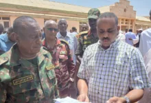 والي الجزيرة