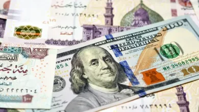 الجنيه المصري