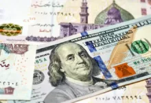 الجنيه المصري
